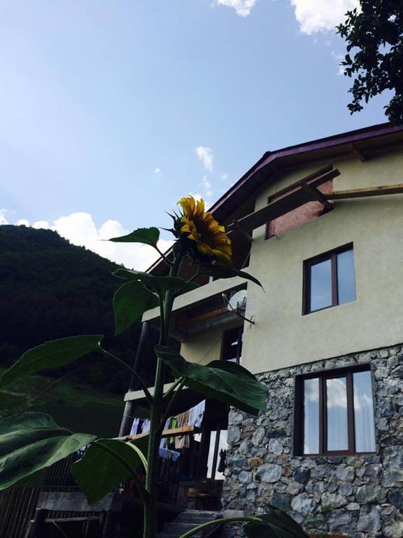 Sakhli Laghamshi Hotel Mestia Ngoại thất bức ảnh