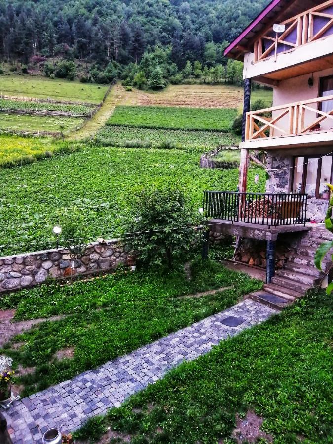 Sakhli Laghamshi Hotel Mestia Ngoại thất bức ảnh